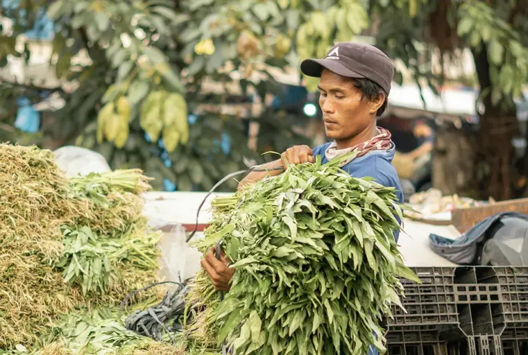 HR International Links supplies export-grade Indian grains sourced directly from trusted farmers. Our products are carefully cleaned, graded, and packaged to meet international standards, ensuring consistent quality for importers, food processors, and feed manufacturers worldwide.